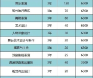 安徽黄梅戏艺术职业学院2024年分类考试招生计划