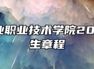 安徽工业职业技术学院2024年招生章程