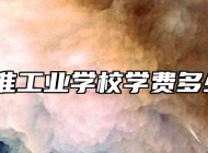 江淮工业学校学费多少？