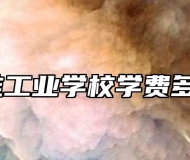 江淮工业学校学费多少？