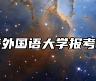 上海外国语大学报考指南