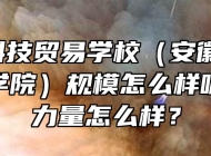  安徽科技贸易学校（安徽粮食经济技师学院）规模怎么样呢？师资力量怎么样？