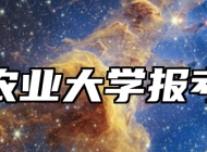 安徽农业大学报考指南