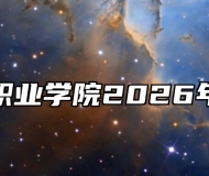 皖西卫生职业学院2026年招生章程