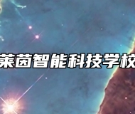 淄博中德莱茵智能科技学校助学政策