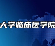 安徽医科大学临床医学院报考指南