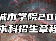 合肥城市学院2026年本科招生章程