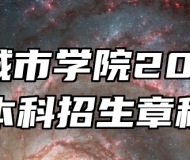 合肥城市学院2026年本科招生章程