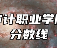 安徽审计职业学院录取分数线