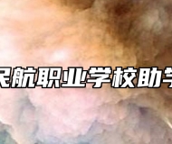 青岛民航职业学校助学政策