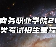 安徽国际商务职业学院2024年分类考试招生章程
