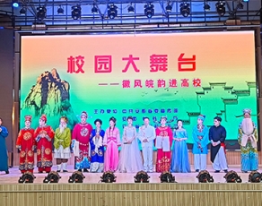 皖北卫生职业学院学生活动