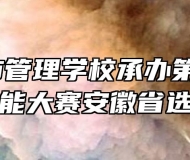 合肥城市管理学校承办第46届世界技能大赛安徽省选拔赛