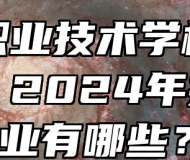 阜阳职业技术学校（中专部）2024年招生专业有哪些？