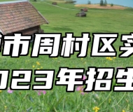 ​淄博市周村区实验中学2023年招生简章