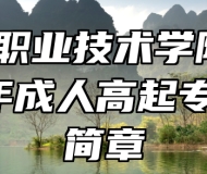 六安职业技术学院2023年成人高起专招生简章