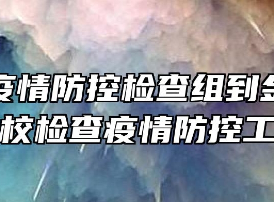 中店乡疫情防控检查组到金安职业学校检查疫情防控工作