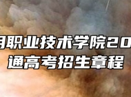 合肥通用职业技术学院2026年普通高考招生章程