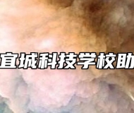 安庆市宜城科技学校助学政策