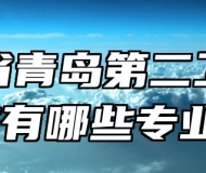 山东省青岛第二卫生学校有哪些专业？