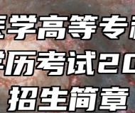 安徽医学高等专科学校成人学历考试2024年招生简章