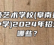 阜南科技艺术学校(阜南县柴集高级职业中学)2024年招生专业有哪些？