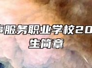 青岛外事服务职业学校2023年招生简章