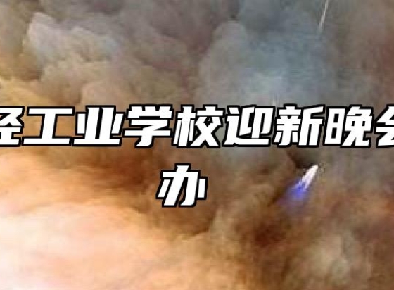 芜湖财经工业学校迎新晚会成功举办 