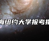 上海纽约大学报考指南