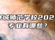 安徽省舒城师范学校2023年招生专业有哪些？