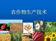 颍上县科学技术学校作物生产技术简介