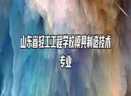 山东省轻工工程学校模具制造技术专业