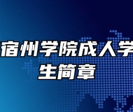 2024年宿州学院成人学历考试招生简章