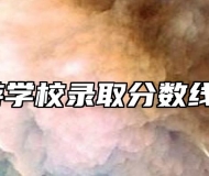 宣城旅游学校录取分数线是多少？