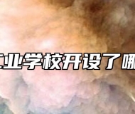 马鞍山工业学校开设了哪些专业？