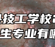 岳西县技工学校2024年招生专业有哪些？