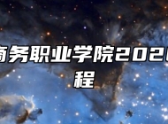 安徽国际商务职业学院2026年招生章程