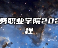 安徽国际商务职业学院2026年招生章程