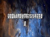安徽国际商务职业学院2026年招生章程