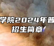 金陵科技学院2024年普通专转本招生简章
