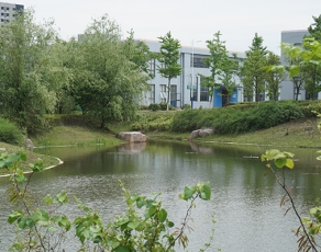 芜湖汽车工程学校（芜湖技师学院）校园环境