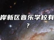 青岛西海岸新区音乐学校有哪些专业？