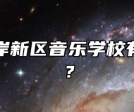 青岛西海岸新区音乐学校有哪些专业？