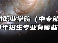 安徽艺术职业学院（中专部）2024年招生专业有哪些？