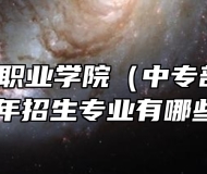 安徽艺术职业学院（中专部）2024年招生专业有哪些？
