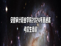 安徽审计职业学院2024年普通高考招生章程