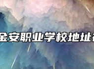 六安市金安职业学校地址在哪里？