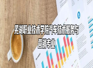 芜湖职业技术学院汽车技术服务与营销专业