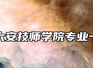 安徽六安技师学院专业一览表