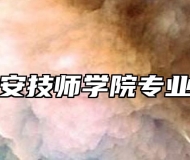 安徽六安技师学院专业一览表